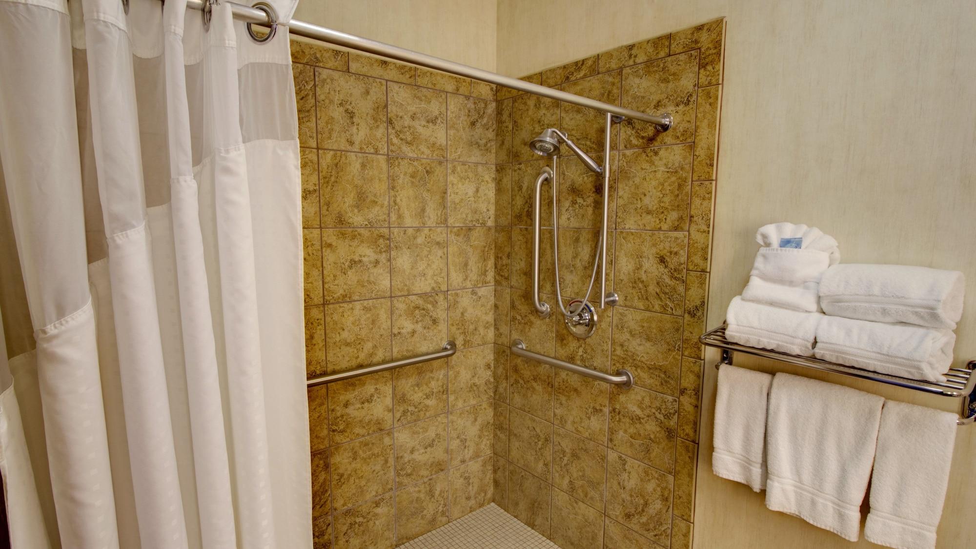 Habitación Holiday Inn Express & Suites Sioux Center by IHG
