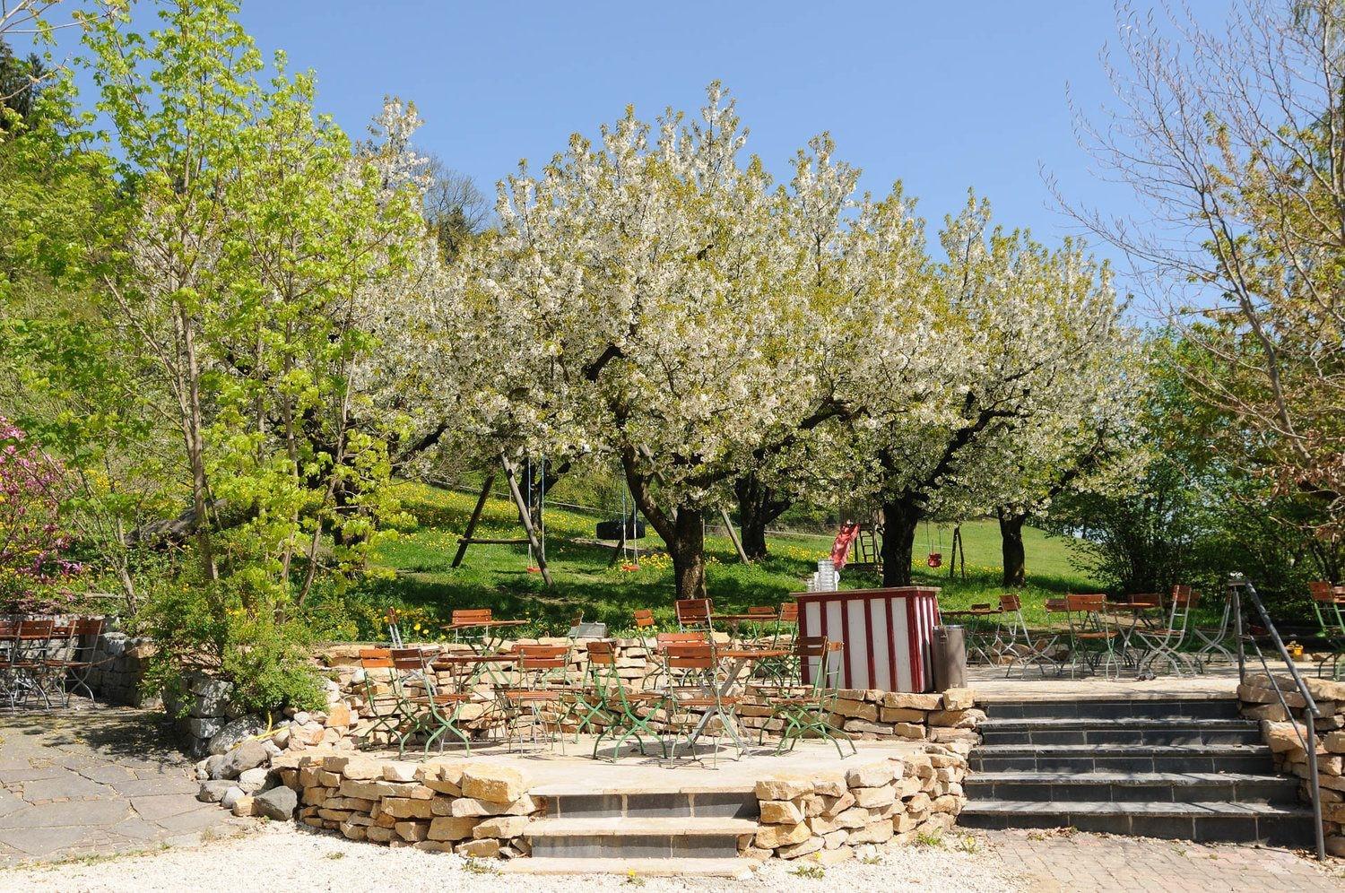 Comodidades del Alojamiento Gasthaus Seerose