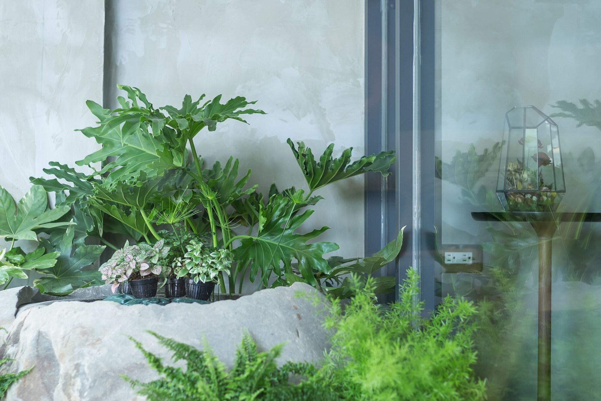 Vista Exterior Shao Guang 188