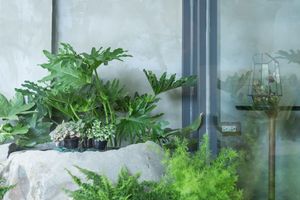 Alojamiento - Shao Guang 188