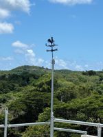 Alquiler Vacacional - Casa Paradise Palms! Beautiful views from the rooftop. Walk to ferry/beach.