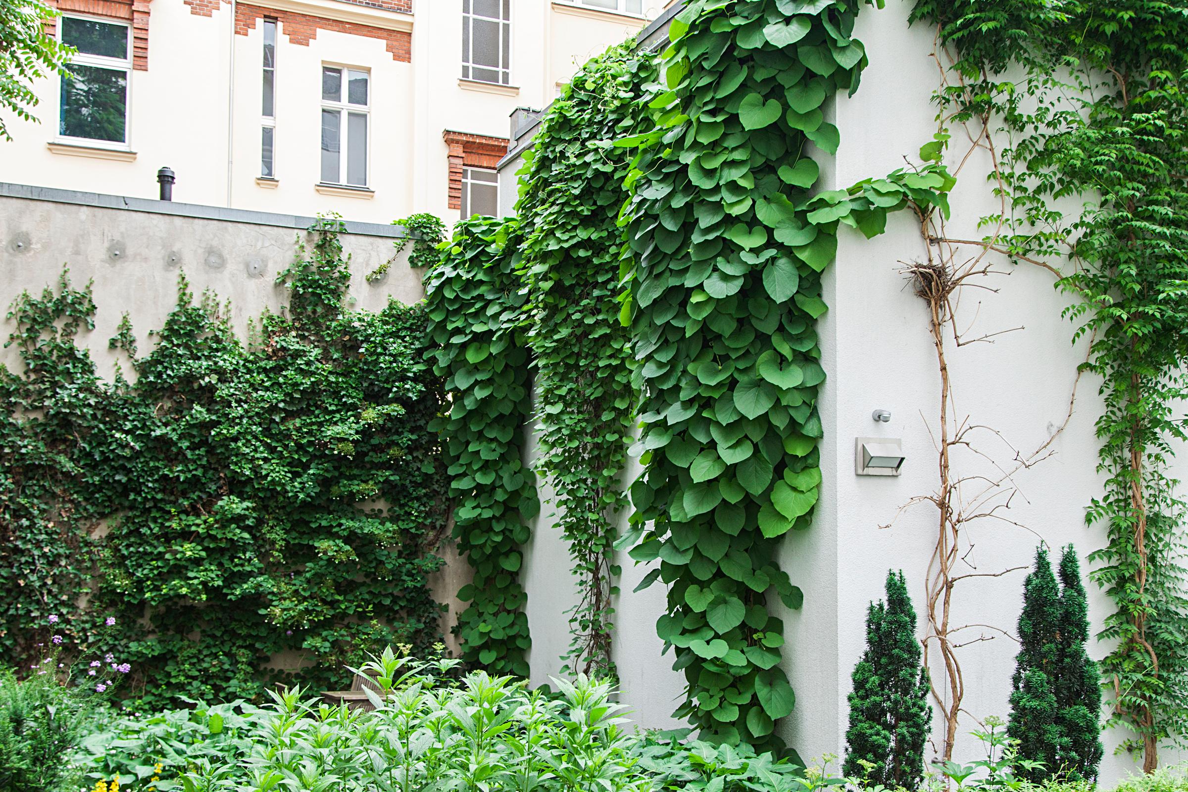 Varios Quentin Design Hotel Berlin