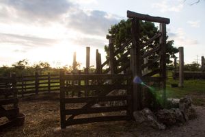Alojamiento - Casitas at Rancho Kuxtal