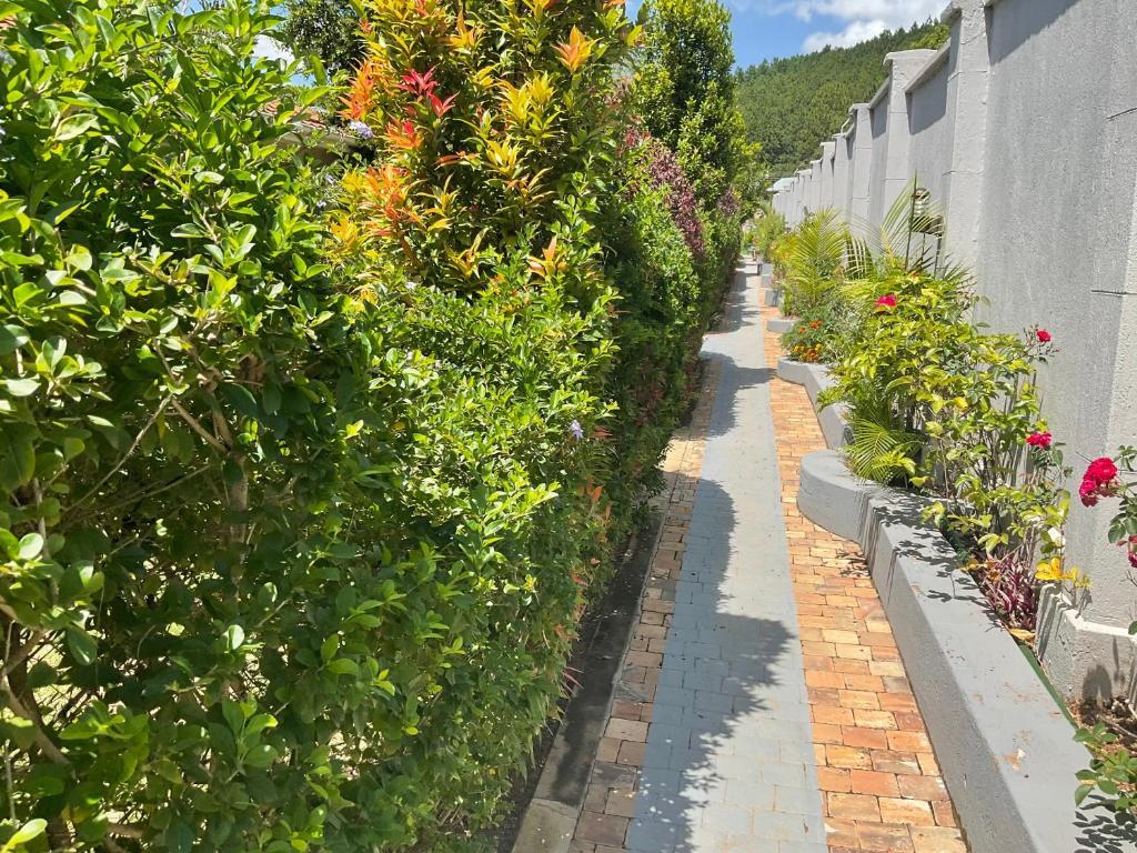 Vista Lobby Zebi Ecolodge