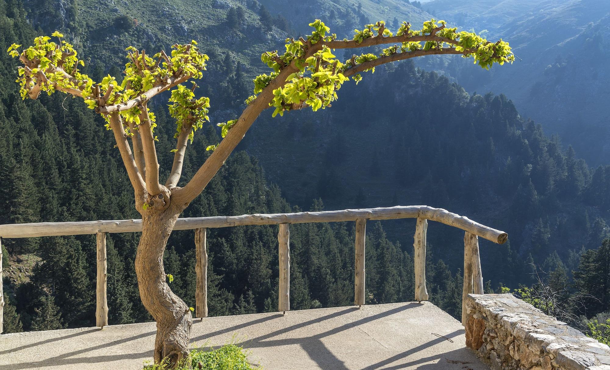 Equipamiento de Habitación Apirathes