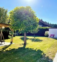 Alquiler Vacacional - StylishHomes NEST - A Cosy Adventure