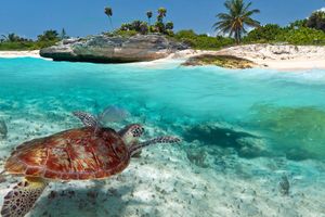 Playa del Carmen: un destino de ensueños