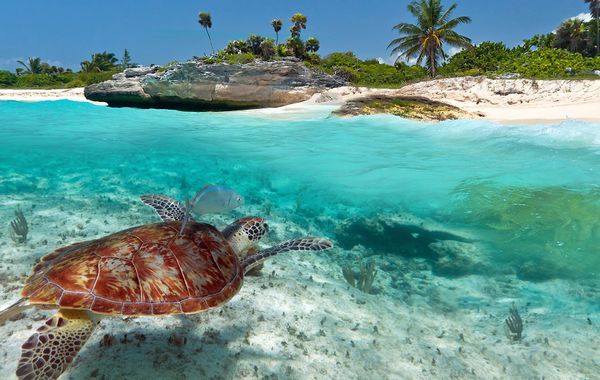 Playa del Carmen: un destino de ensueños