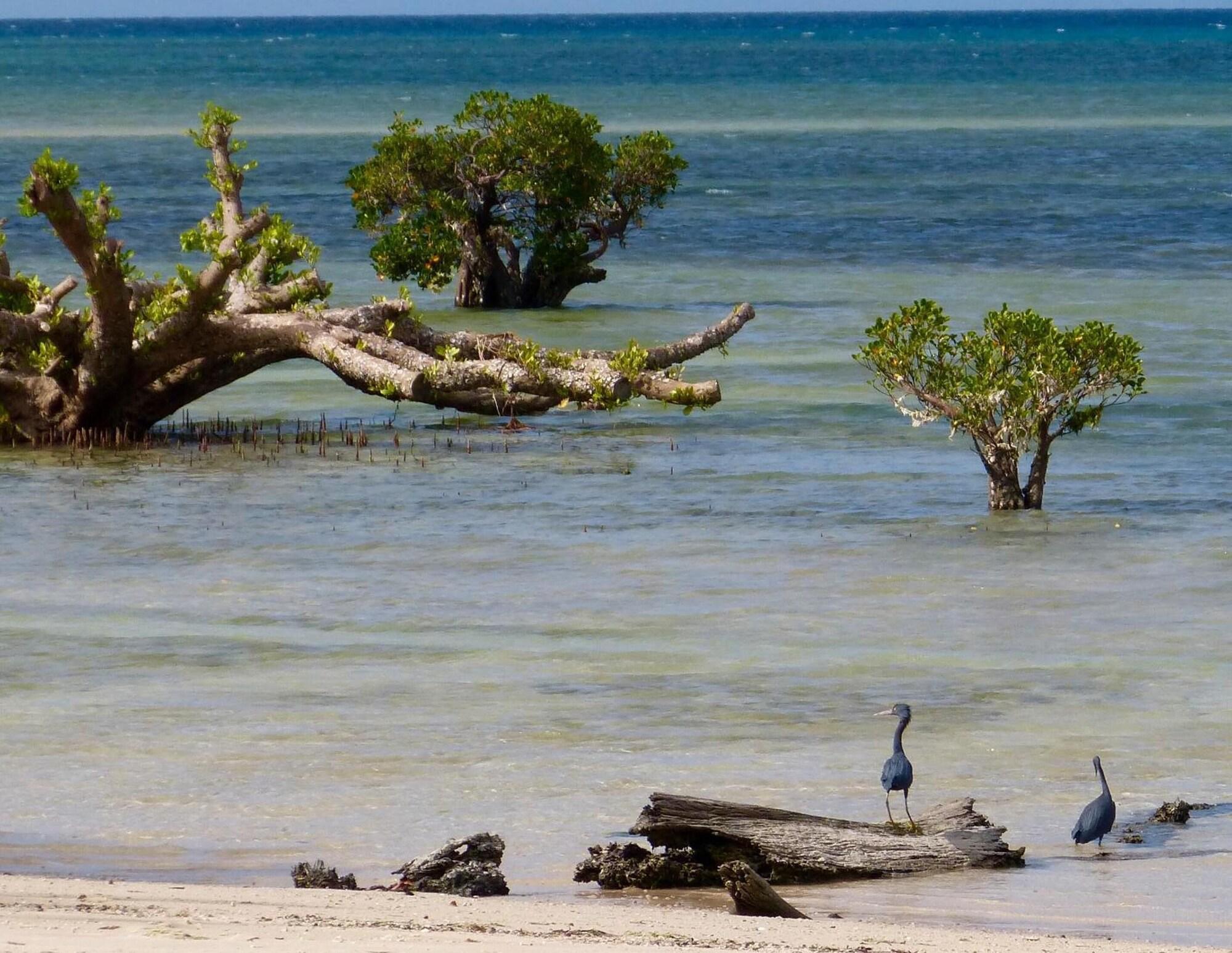 Playa Eco Resort Sumba Dream