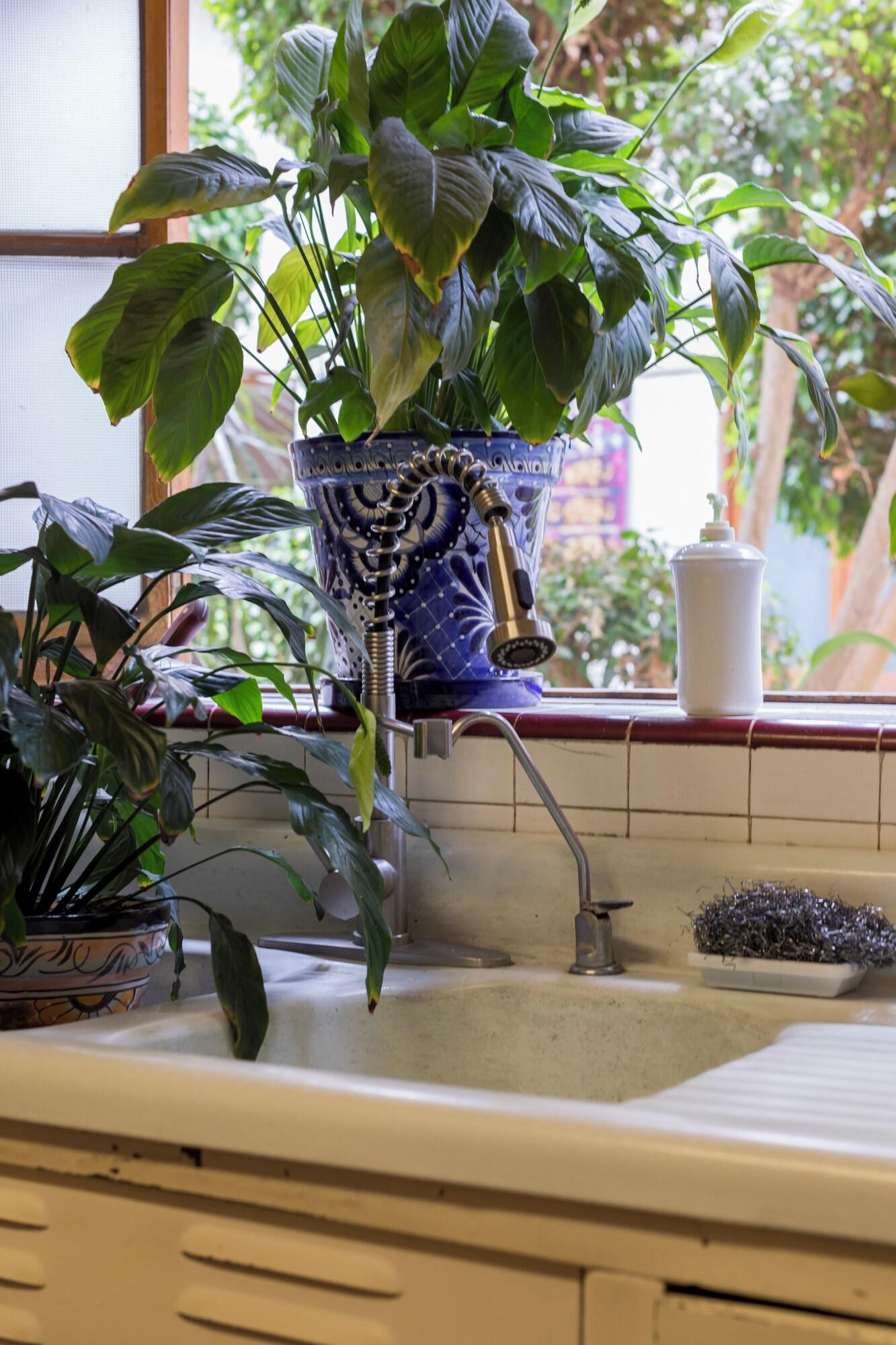 Restaurant Meztli: Casa Boutique & Spa