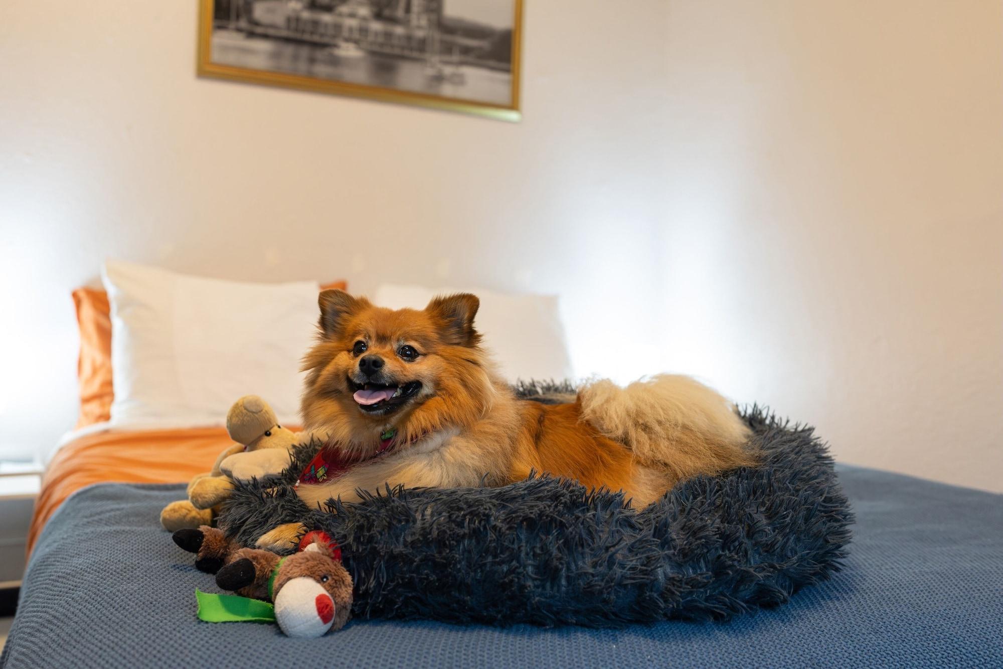 Habitación The Guesthouse Vancouver Downtown