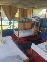 Alojamiento - Amazon Macambo Lodge