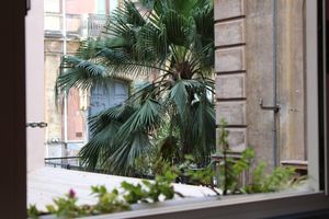 Alojamiento - B&B Aloi Rooms