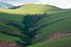 Actividad - Valles Calchaquíes: Descubrí Tafí del Valle, Tucumán