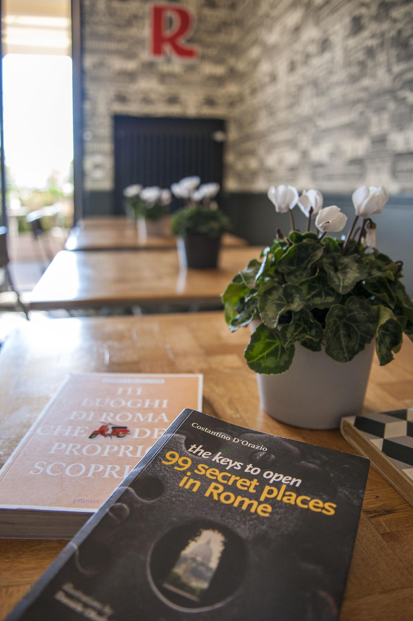 Instalaciones Recreativas Rarity Suites