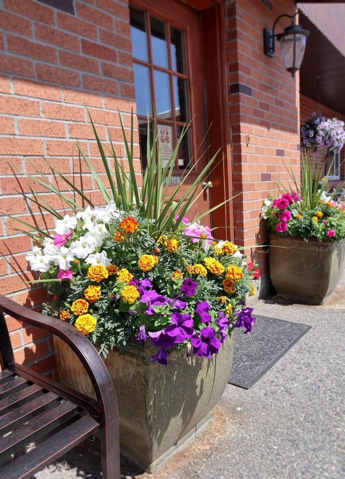 Vista Exterior Marcus Daly Motel