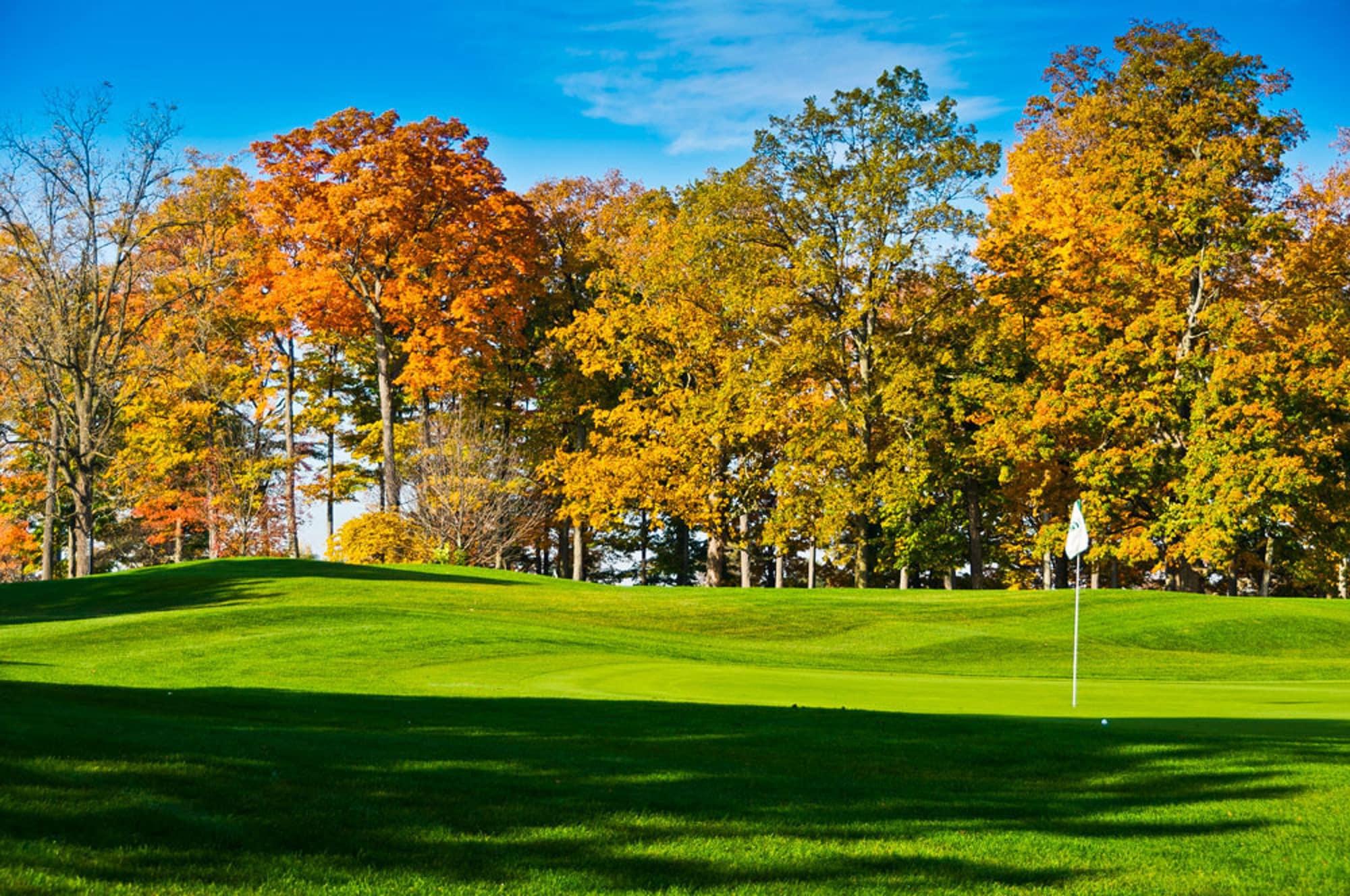 Campo de Golf Candlewood Suites East Lansing by IHG
