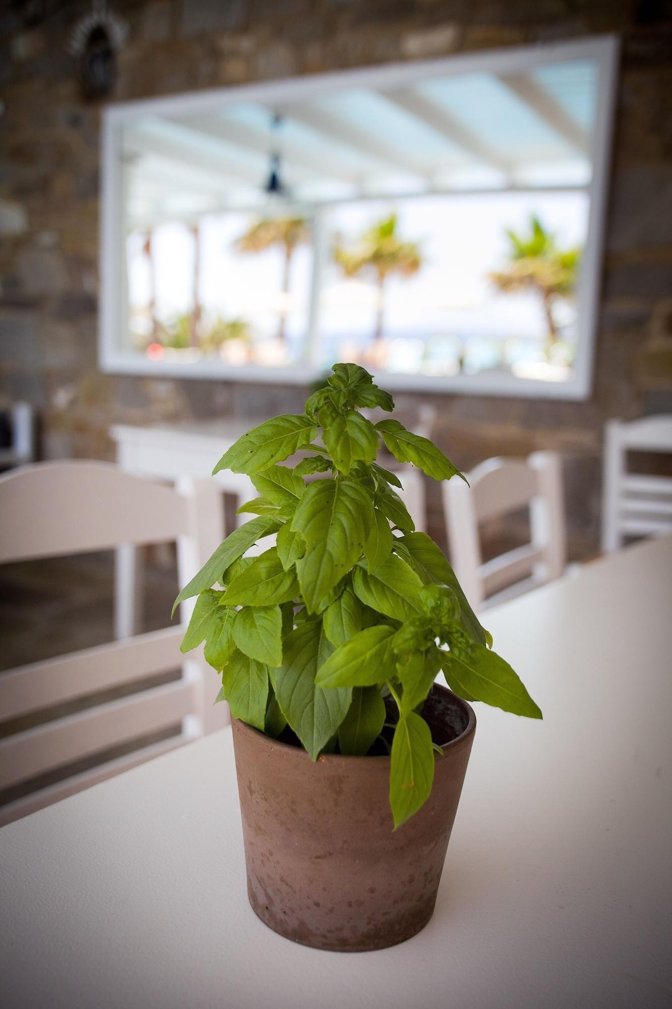 Vista Exterior Paros Filoxenia