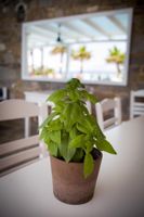 Alojamiento - Paros Filoxenia