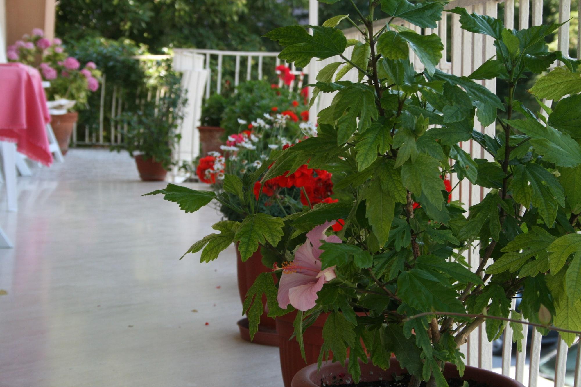 Vista Exterior Hotel Risorgimento