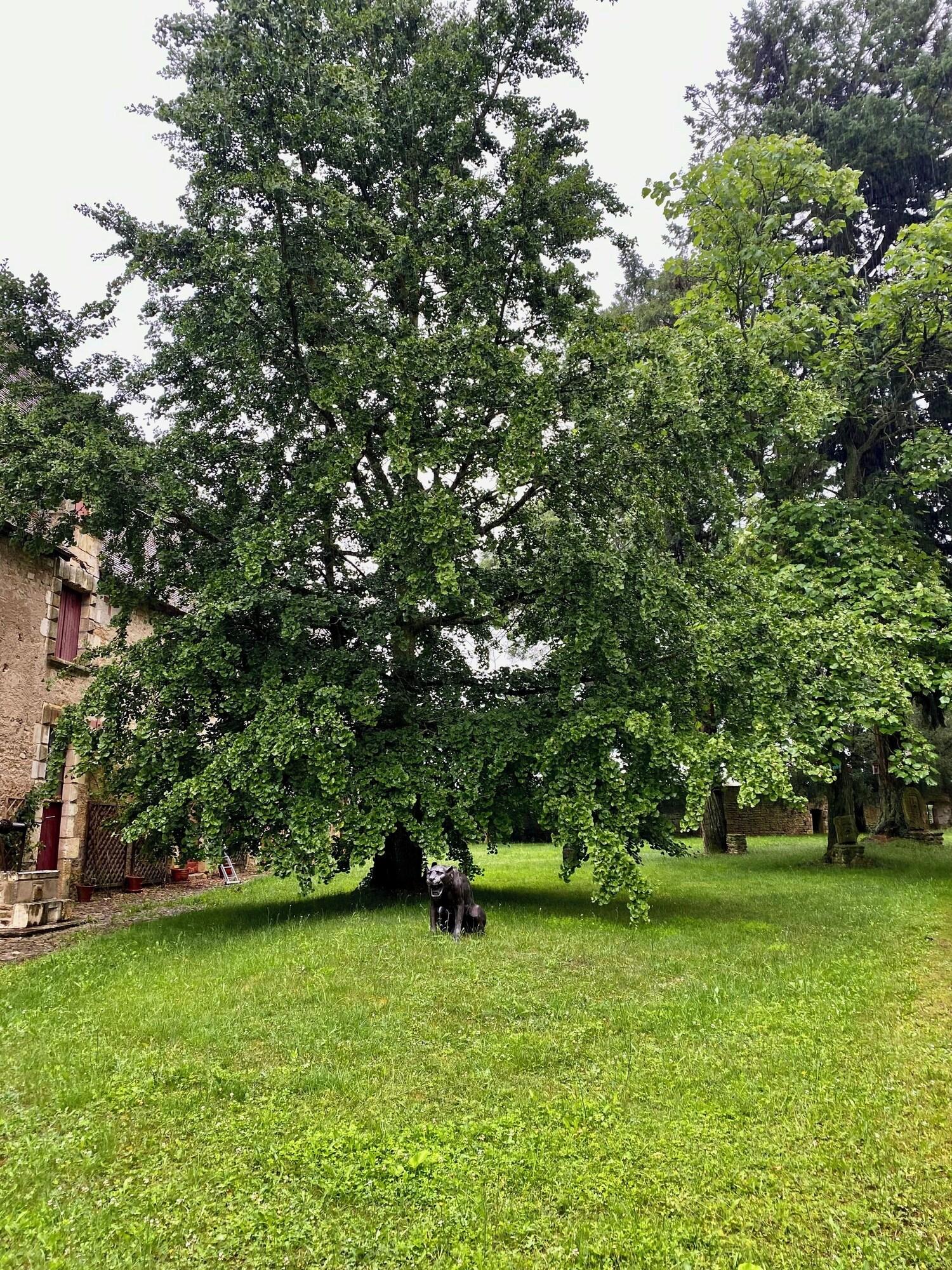 Comodidades del Alojamiento Château de Saint-Chartier