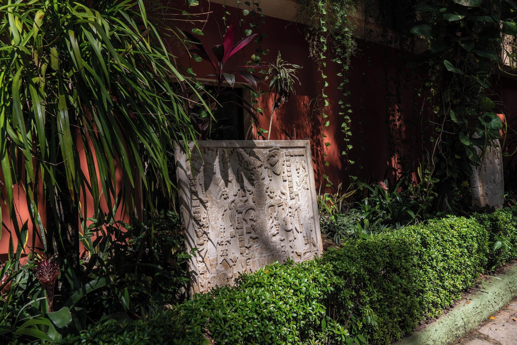 Vista Exterior Maya Tulipanes Express