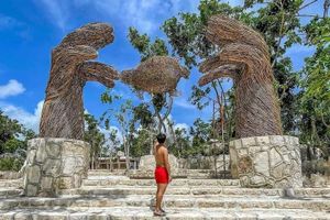 Actividad - Cenotes Casa Tortuga Entrada Básica