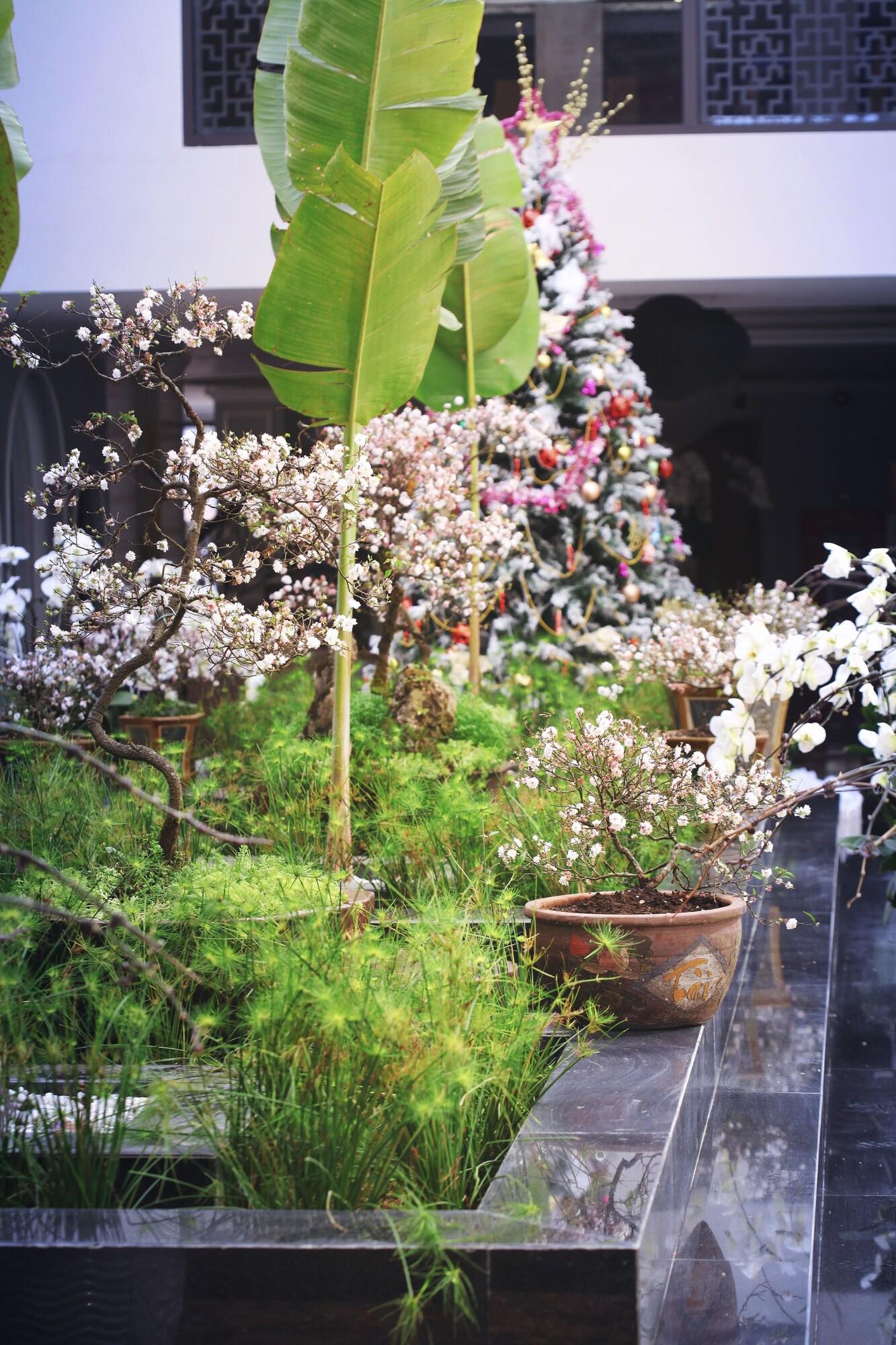 Spa Lotus Aroma Sapa Hotel