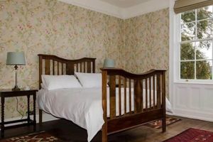 Alojamiento - The Lions