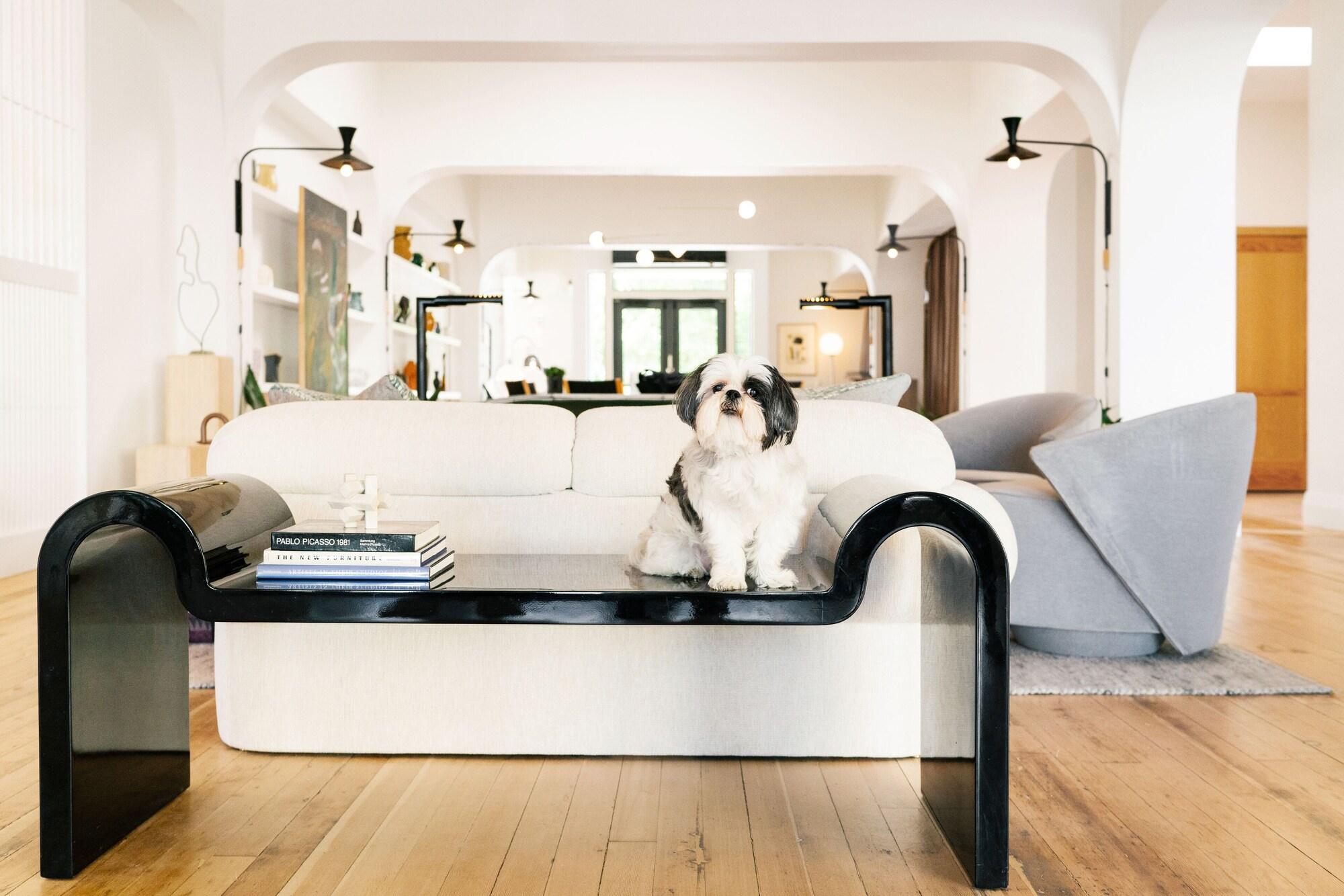 Vista Lobby Hotel Grand Stark