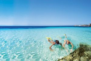 Actividad - Rottnest Express Fremantle con Barco de Aventura