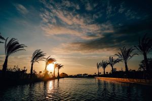 Alojamiento - BOTANICAL POOL CLUB