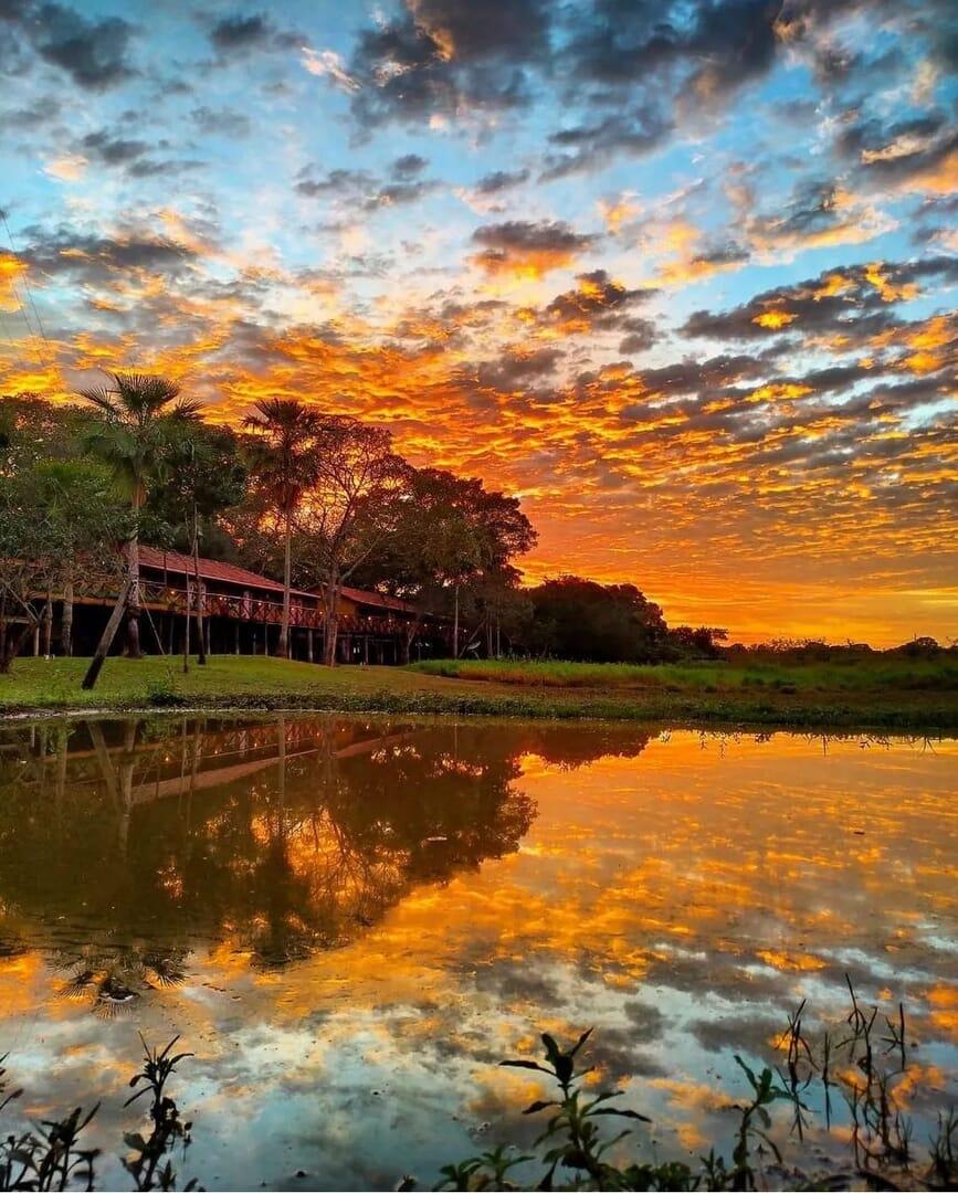 Pantanal Jungle Lodge