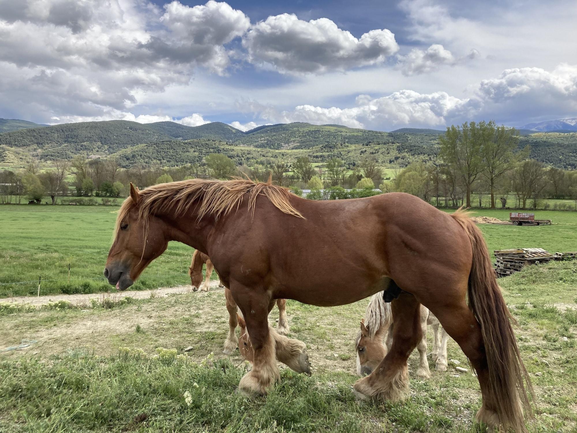 Vista Exterior Hotel del Prado