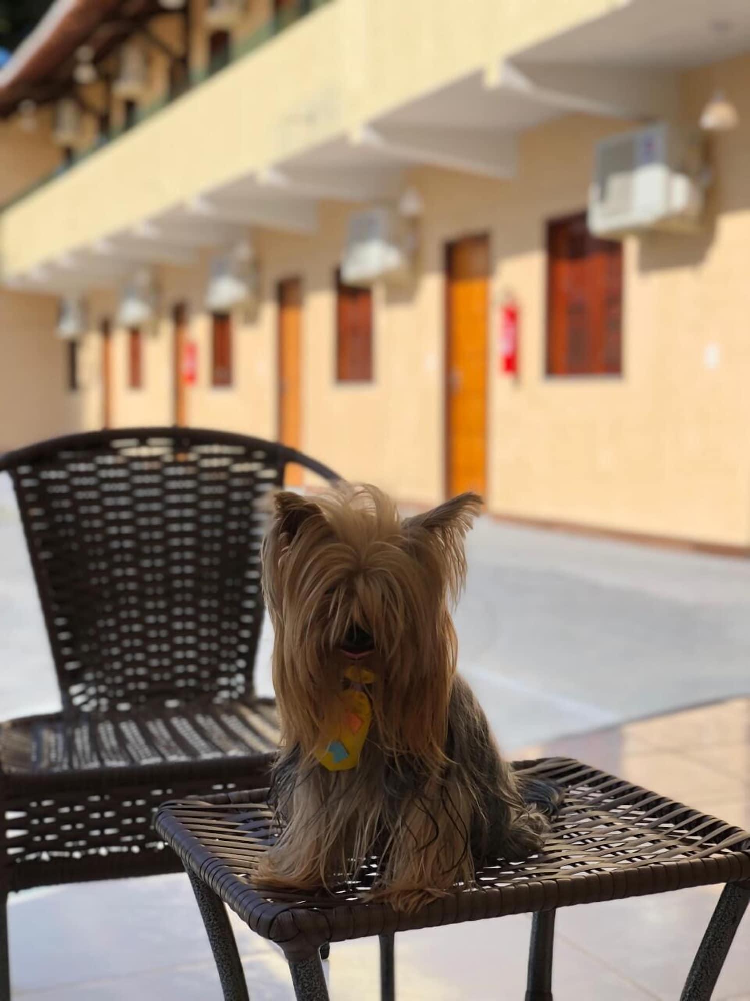 Vista Lobby HOTEL PINTO MARTINS