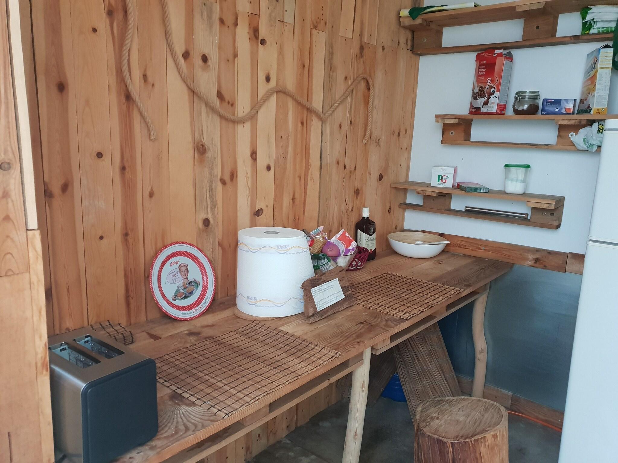 Vista Lobby Cactus Host