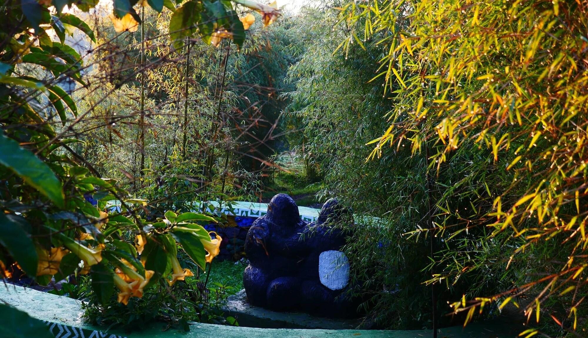 Comodidades del Alojamiento Le Bambou Gorilla Lodge