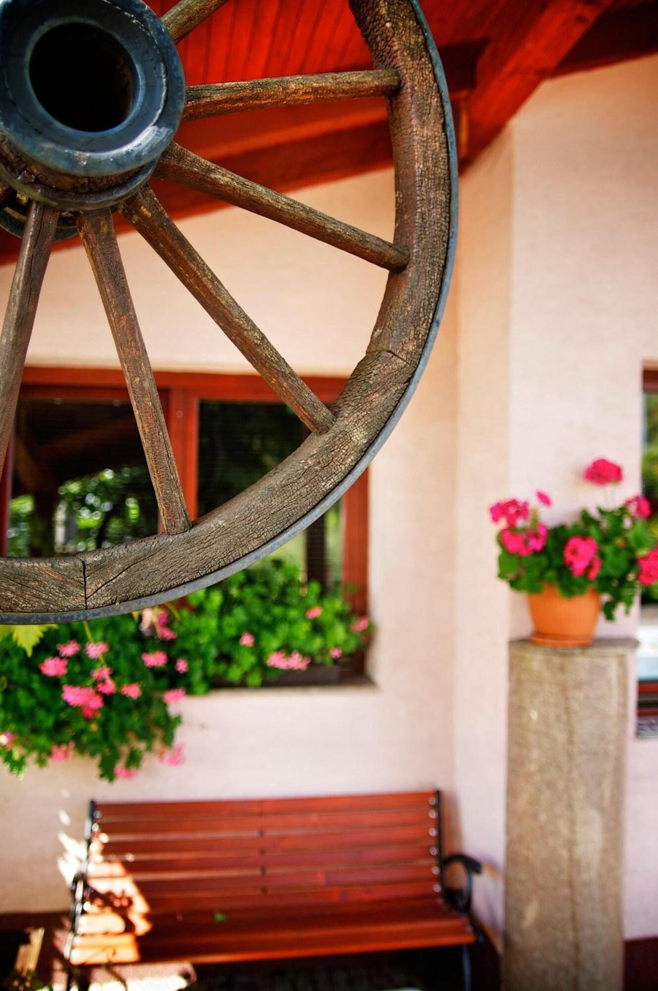 Vista Exterior Penzion Plesnivec