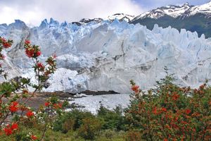 Paquete - Hostel del Glaciar Pioneros