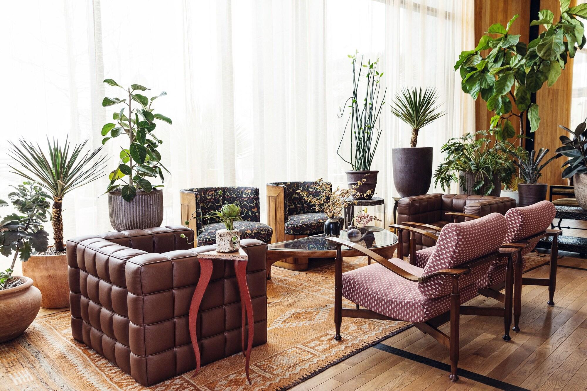 Vista Lobby Austin Proper Hotel, a Member of Design Hotels