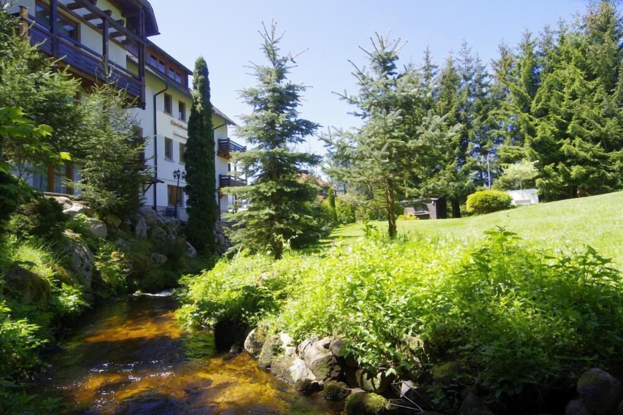 Vista Exterior Hotel Schöneck Garni