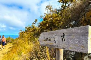 Actividad - Tour por Larano con transporte