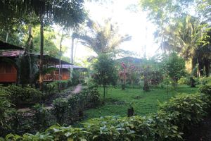 Alojamiento - Monte Amazonico Lodge