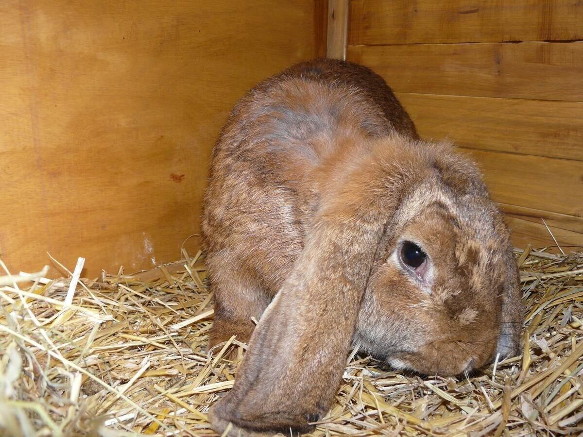 Vista Lobby Chambres d'hôtes le Pot au Lait