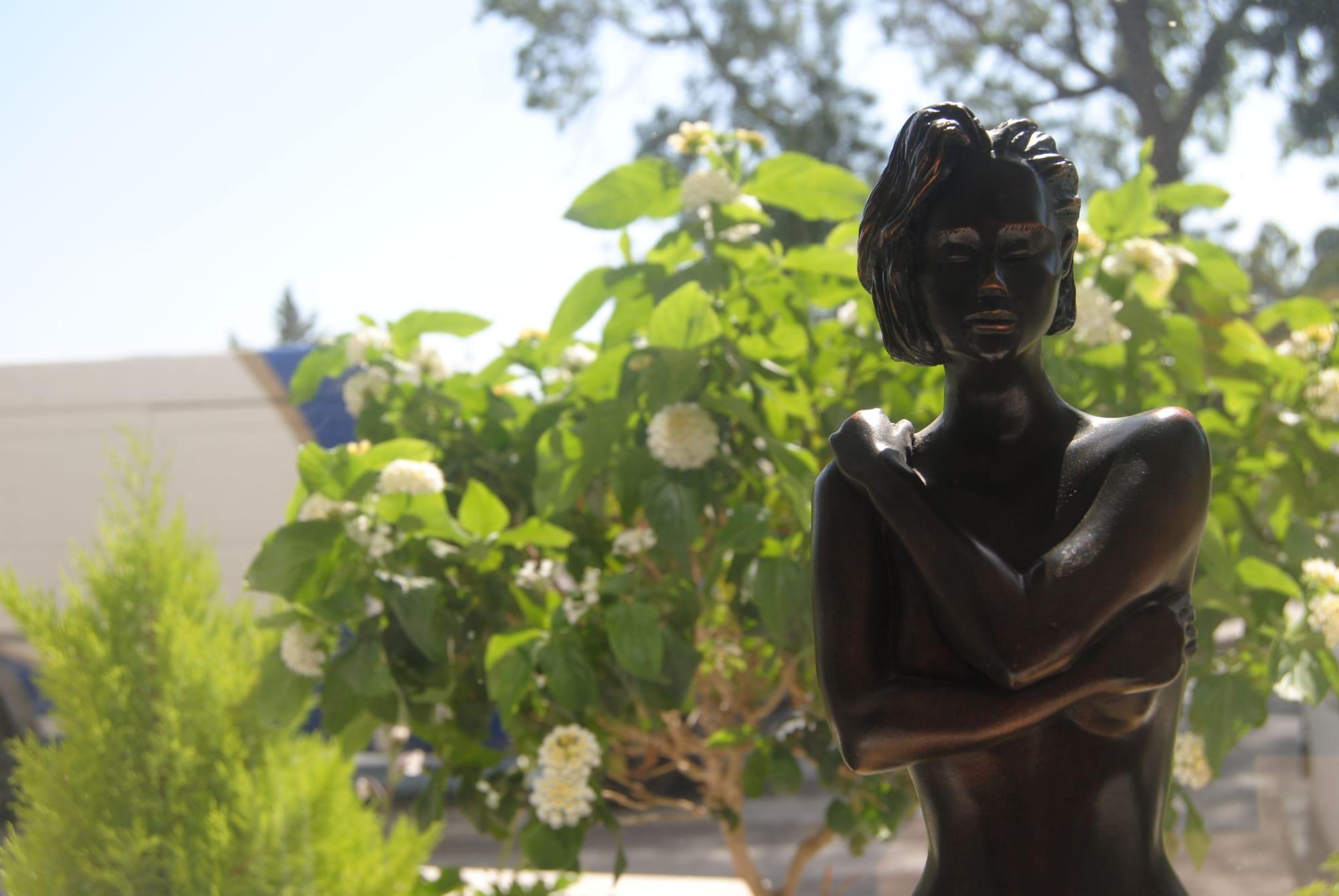 Comodidades del Alojamiento Hotel Mirasol