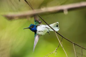 Alquiler Vacacional - HR3 Spectacular Ocean Views, 5 min to Beach - concierge service - security guard