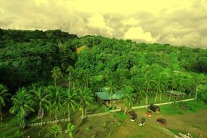 Alojamiento - hotel don aí