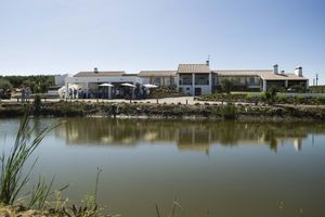 Alojamiento - Monte da Estrela Country House & SPA