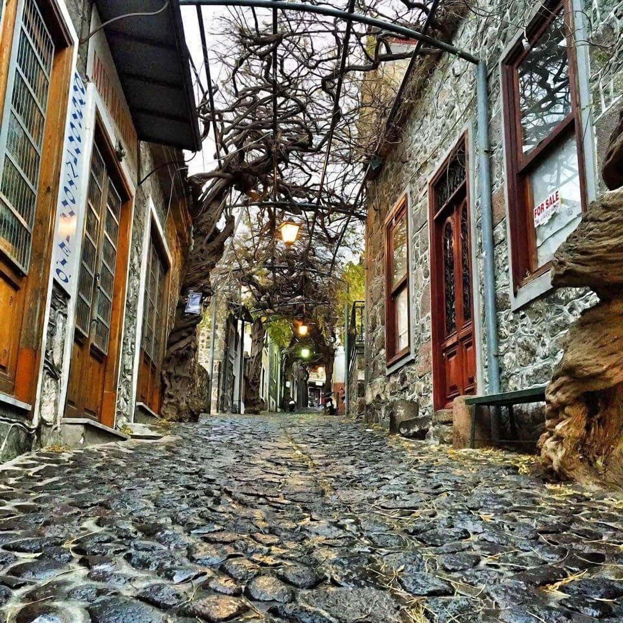 Vista Exterior The Schoolmistress With the Golden Eyes