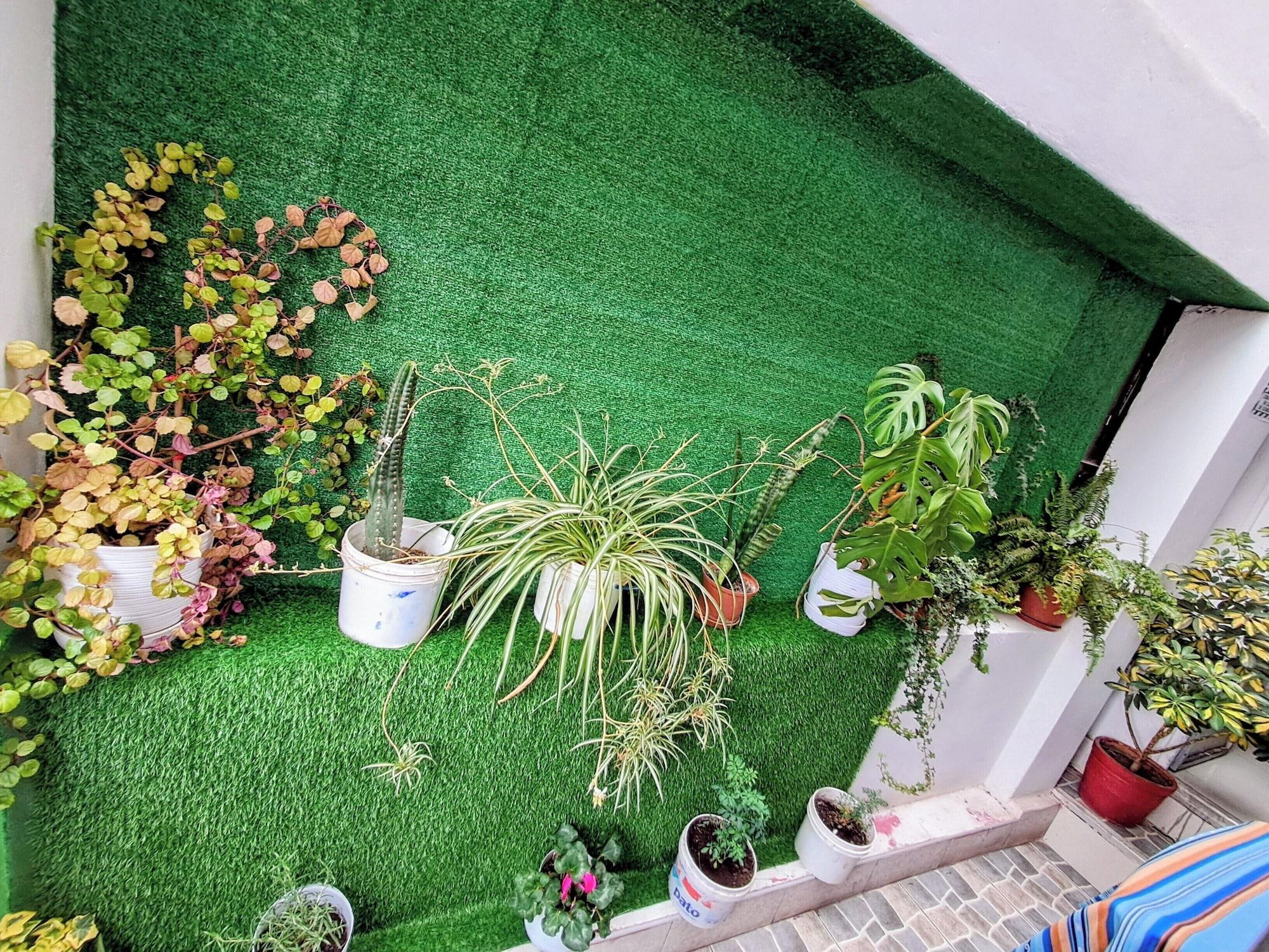 Comodidades del Alojamiento HOSTAL LA RASA